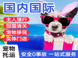 吐鲁番交河航空邮寄国际宠物托运 【国